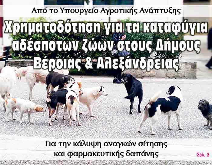 Μακροχωρίου και Περιχώρων