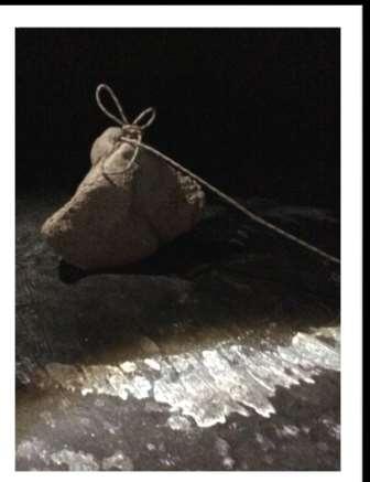 στην αυλή