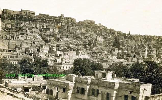 Κων/λιτών Η. Βασιλείου,σ.13 Η Βιολογική Επιτροπή του ΕΦΣΚ, σ.14.21.