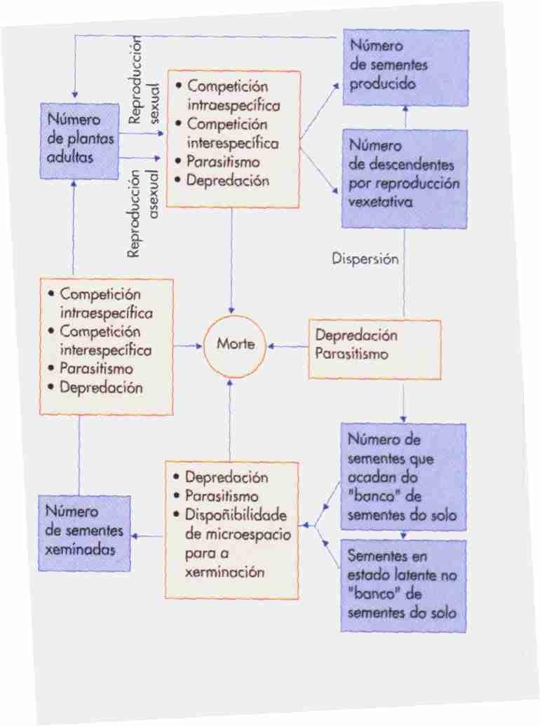 Factores que inflúen na