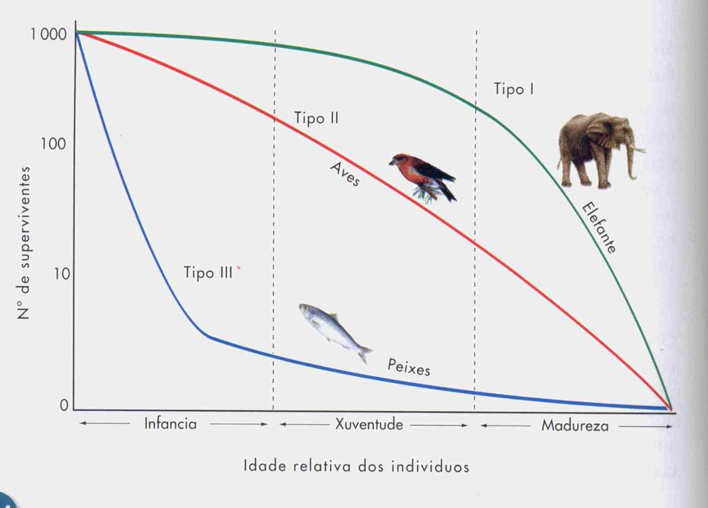 Mortalidade: