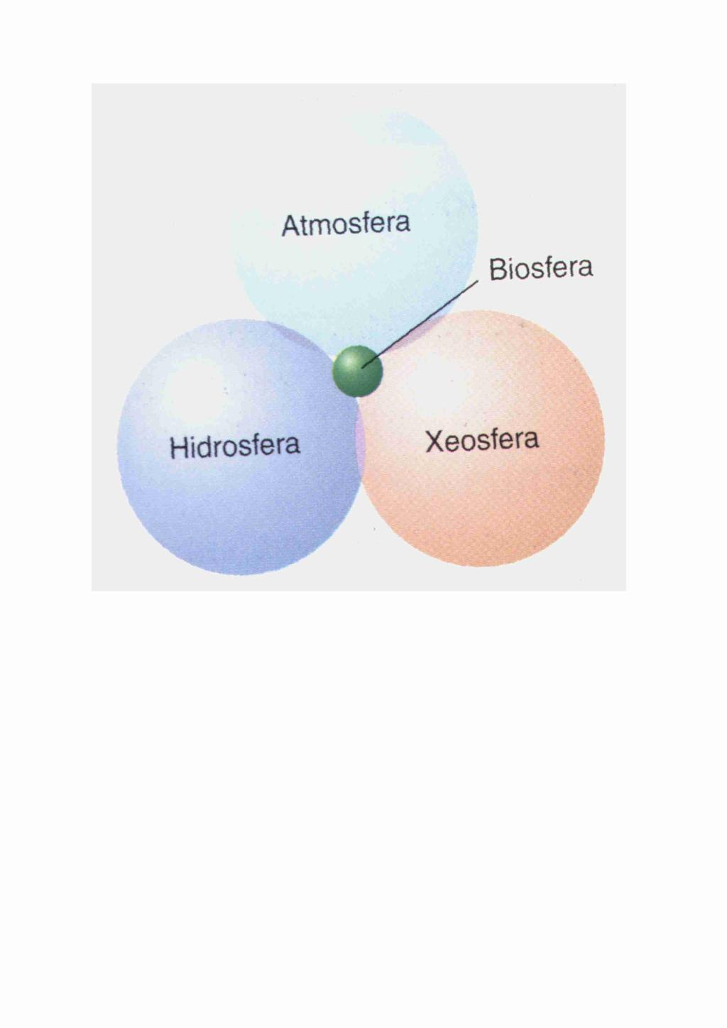 BIOSFERA é SISTEMA ABERTO que intercambia ENERXÍA