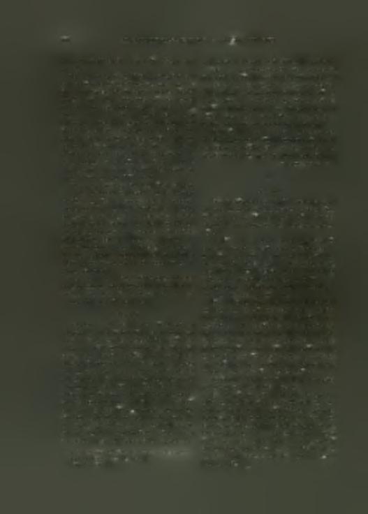 333 γ), δημιουργούμενος μάλλον κατά τήν δευτέραν ταφήν, είς τόν όποίον, ώς έν όστεοφυλακείφ, έναπετίθεντο τά όστά τών προηγουμένων νεκρών όμού μετά τών κτερισμάτων αυτών 8.