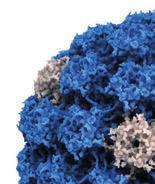 TREATMENT OF HPV INFECTION AND ITS CONSEQUENCES (βλ. στο τέλος του Προγράμματος / see at the end of the Program) 12.00-13.