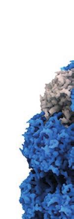 ΔΙΟΙΚΗΤΙΚΟ ΣΥΜΒΟΥΛΙΟ ΤΗΣ ΕΛΛΗΝΙΚΗΣ HPV ΕΤΑΙΡΕΙΑΣ Πρόεδρος: Θ. Αγοραστός Αντιπρόεδρος: Α.