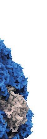 Κωνσταντινίδης ΓΡΑΜΜΑΤΕΙΑ ΕΛΛΗΝΙΚΗΣ HPV ΕΤΑΙΡΕΙΑΣ Αναστασία Κίτσου Τηλ.: +30 2310 892140 - Fax.