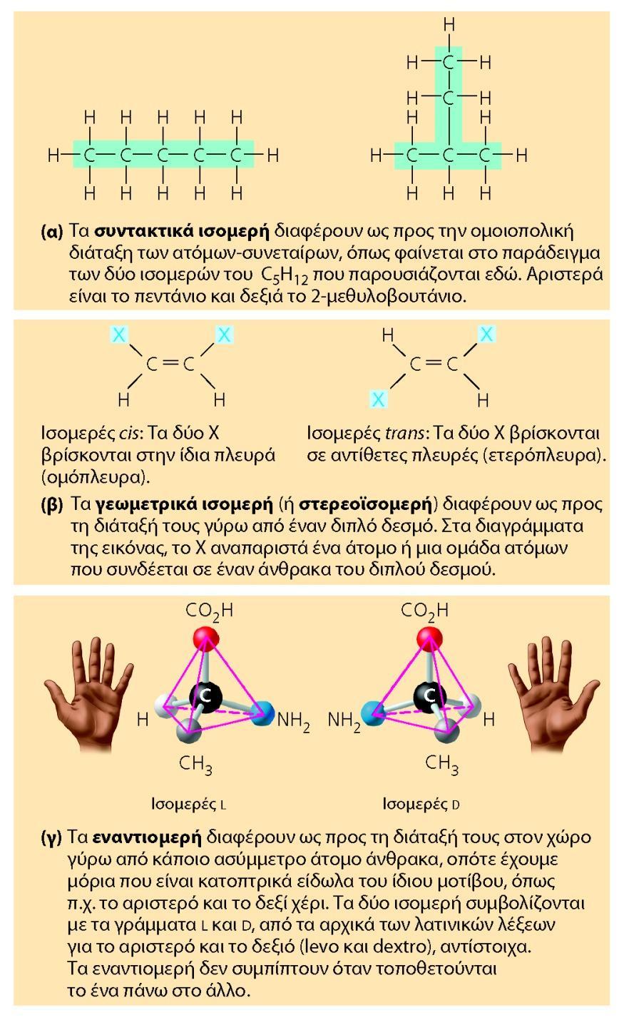 Οι τρεις τύποι ισομερών Ισομερή ονομάζονται ενώσεις με ίδιο μοριακό τύπο άλλα διαφορετική διάταξη των