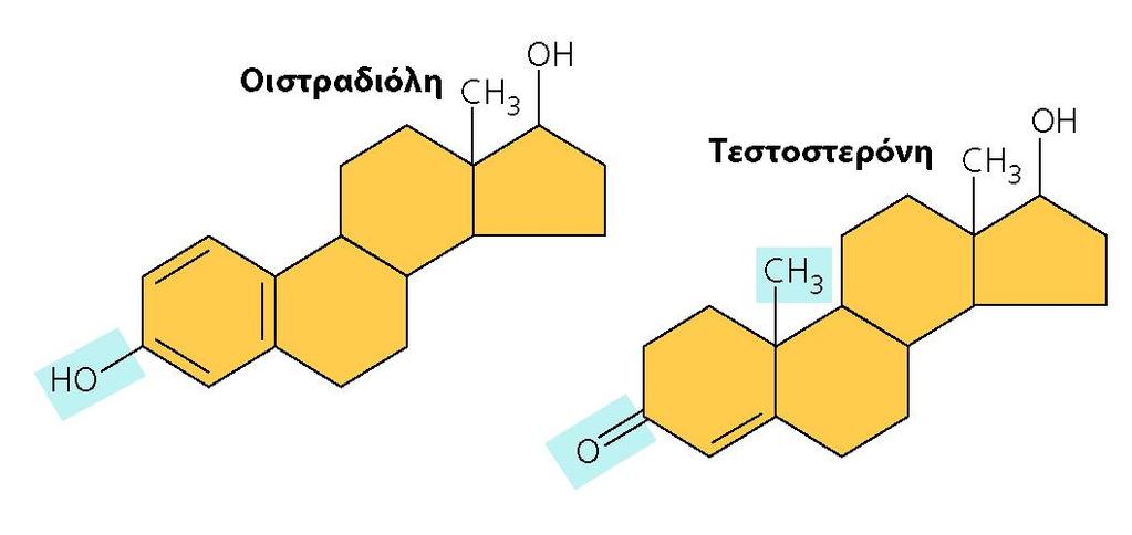 Ακόμα και μικρές αλλαγές στα χημικά μόρια είναι δυνατό να αλλάζουν