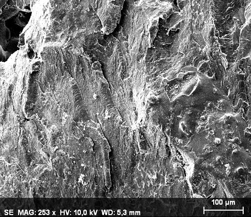 Fig. S9 Electron microscopic images and EDX patterns of composite P5_2 with 5 wt% of SiO2 in different magnifications; EDX showing the