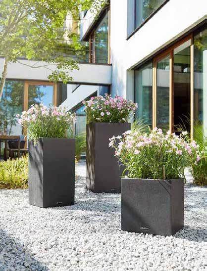 sandbeige graphite black