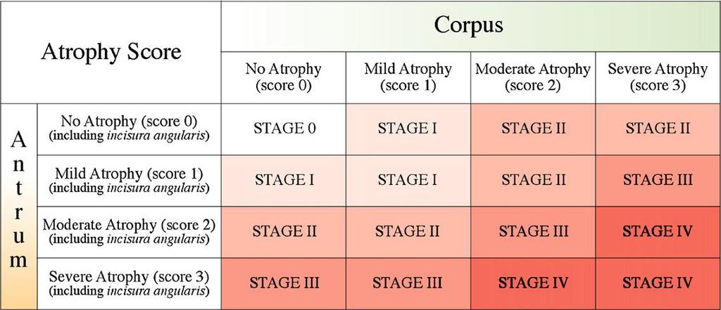 8] no atrophy=0%, score=0 mild atrophy=1 30%, score=1 moderate atrophy=31