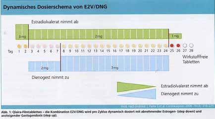 Kiley JW, Shulman LP. Estradiol valerate and dienogest: a new approach to oral contraception. Int J Womens Health. 2011;3:281-6.