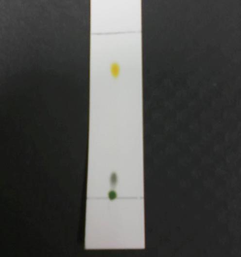 Slika 7. Aparatura za tankoslojnu kromatografiju (a) i kromatogram smjese pigmenata izoliranih iz špinata (b) Tankoslojna kromatografija može se upotrebljavati i u preparativne svrhe.