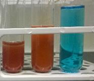 Benedictova test-reakcija U epruvetu se stave 3 ml Benedictova reagensa i zagrije do vrenja u vodenoj kupelji (čaša s vodom) jednu minutu.