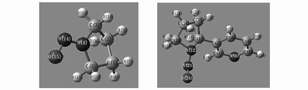 380 Vol 61, 2003 6 NPYR( ) NNN( ) Figure 6 Simulation on the structure of NPYR (left) and NNN (right) 7 NNN ( ) ( ) Figure 7 Simulation on