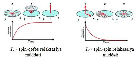 Relaksasiya (durulma) növləri İki növ relaksasiya müşahidə edilir: spin-qəfəs relaksasiya (T1 ilə işarə olunur, relaksasiya müddətini göstərir və z oxu istiqamətində və ya uzununa relaksasiya kimi