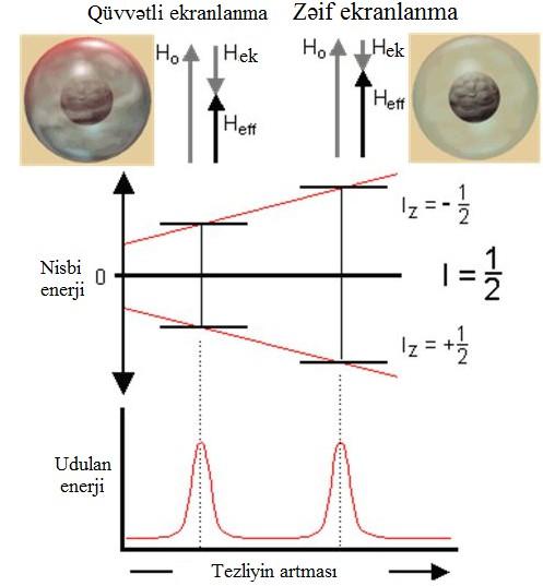 Nüvə ətrafındakı elektron buludu nə qədər sıxdırsa σ ekranlanma (pərdələnmə) əmsalı da
