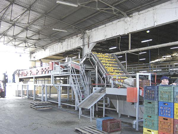 Ταξινόμηση κατά μέγεθος 56
