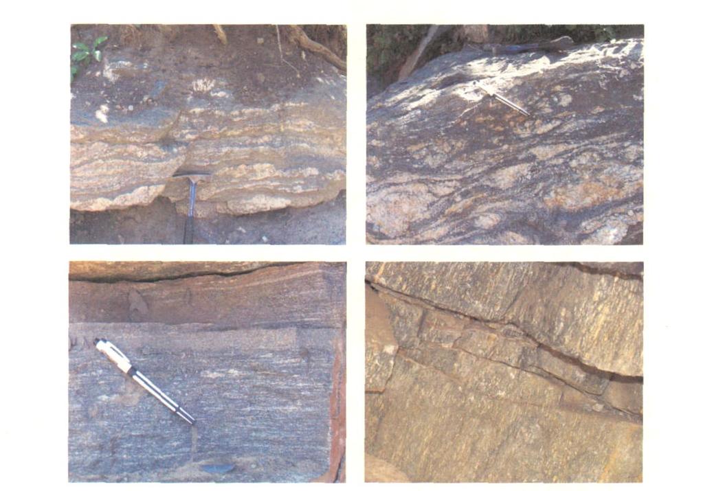 46 N OR T H W ES T ERN GEOL OGY 2010,, 0111 mm,,, 15%30% ;, 0122 mm,,,, 10%20% ;,, 2%,, 0111 mm,,, 1%5% ; 2 F ig12eyed structure, sch lieren structure and banded structure of Suput gneiss 2, ; N b Zr