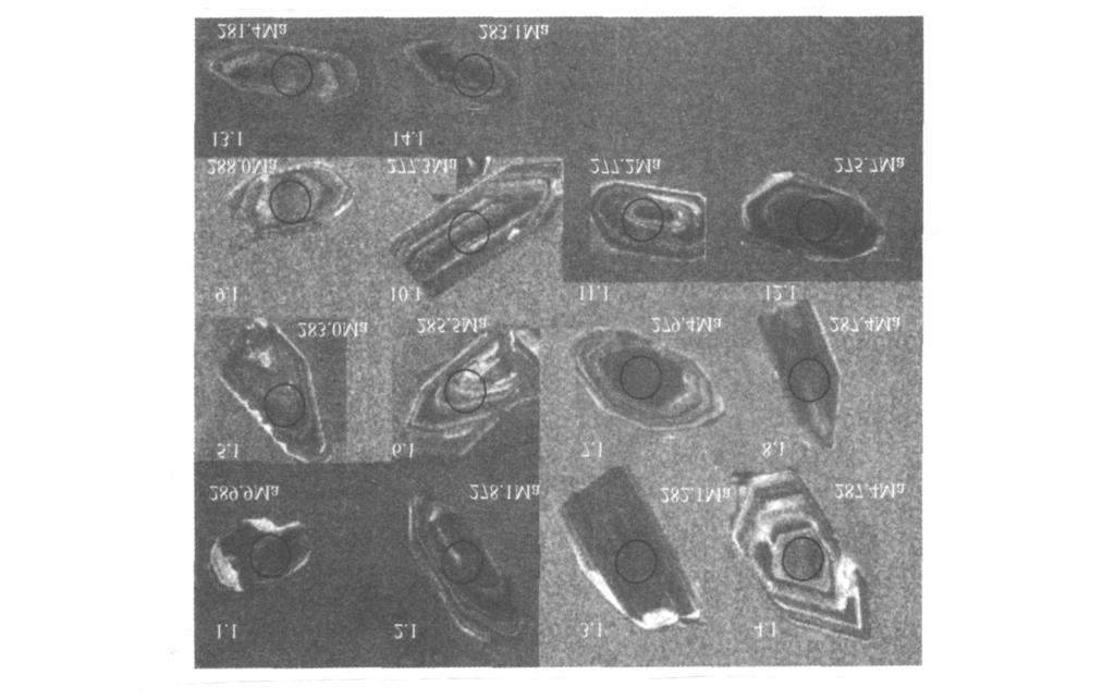 1 : U 2Pb SHR IM P 49 4 F ig14cathodo lum inescence im ages of zircons in Suput gneiss Spo t U g 10-6 2 U 2Pb T ab 12U 2Pb SHR IM P data of zircons from Suput gneiss T hg 10-6 T hgu f # 206g% 206 Pb