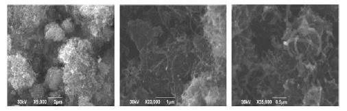 Σχήμα 5-1: Θερμοβαρυμετρική ανάλυση νανοσωλήνων άνθρακα εμπορικής ονομασίας ONEX MW1000C1 Εικόνα 8: Εικόνες SEM των