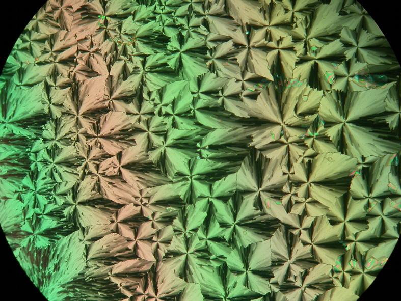 Cubbi/Ia3 d phase at 179 C; d) growth of the Cubbi/Ia3 d (black regions)
