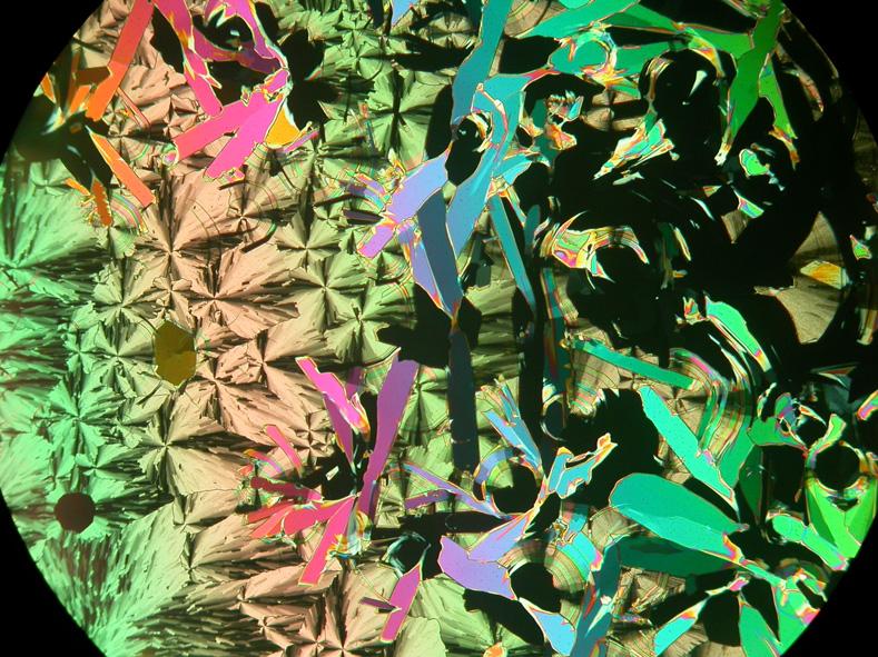 compound 16 at 149 C; e) Colhex phase of compound 18 at 140 C and f)