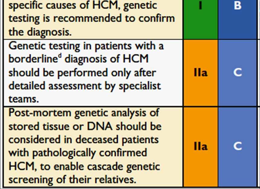ventricular hypertrophy in the presence of hypertension,