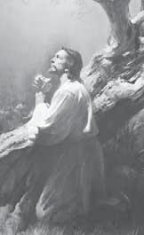 në botë nuk e shpjegon këtë doktrinë jetësore aq mirë sa Libri i Mormonit e pranojmë dhe a u mësojmë çfarë na tregojnë neve zbulesat rreth Krijimit, damit dhe rënies së njeriut dhe shëlbimit nga ajo