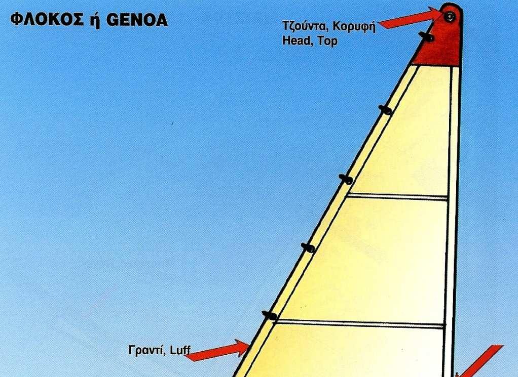 Φλόκος ή Genoa Πρώρα