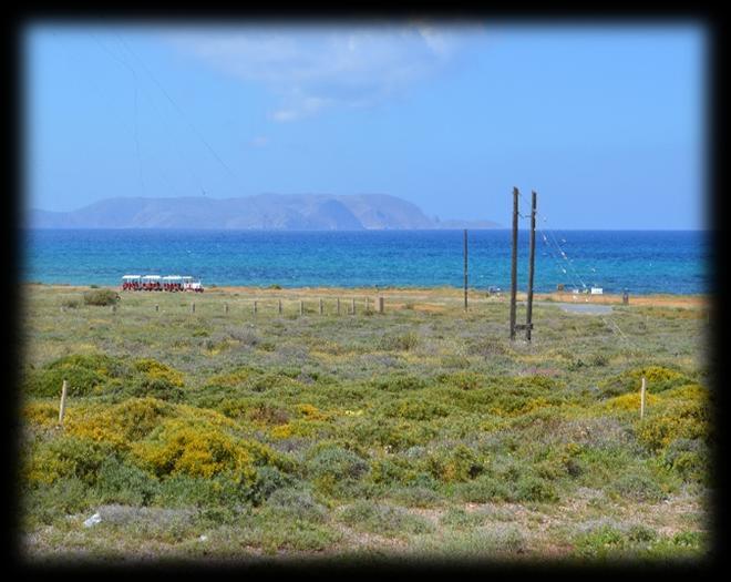 αλάδανος, η κρητική καμπανούλα (Campanula cretica), σπάνιο και πολύ όμορφο φυτό, η πικροδάφνη (Nerium leander), πανέμορφος και εντυπωσιακός θάμνος που φυτεύεται συχνά στις παρυφές των δρόμων, πολλά