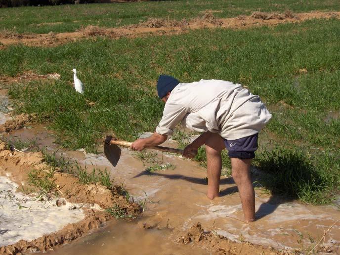 EVROPA KA NEVOJE TE PERDORE UJIN NE MENYRE TE EFEKTSHME Evropa duhet të dyfishojnë përpjekjet në përdorimin e ujit në mënyrë më efikase për të shmangur pasojat në ekonominë e saj.