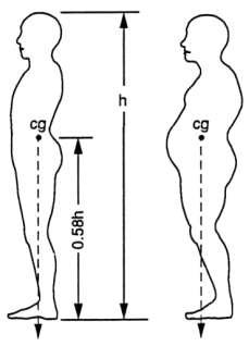 Glavna sila koja djeluje na ljudsko tijelo je gravitacijska sila (W= težina) W = m g Stabilnost tijela u odnosu na gravitacijsku silu omogućava struktura kostiju ljudskog kostura!