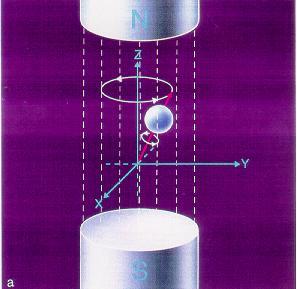 Πρωτόνια σε μαγνητικό πεδίο