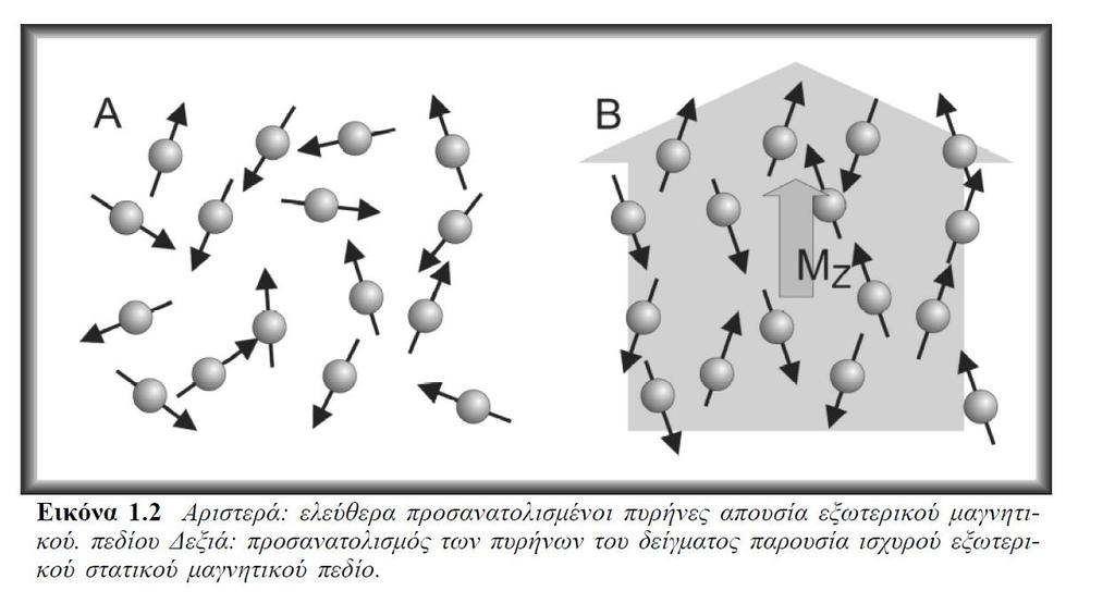 Α. Πυρήνες (πρωτόνια) εκτός μαγνητικού πεδίου Β.
