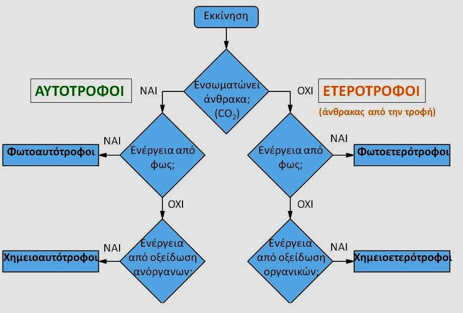 Φυκολογία - Τρόποι απόκτησης ενέργειας Τα φύκη είτε αποκλειστικώς είτε επικουρικώς