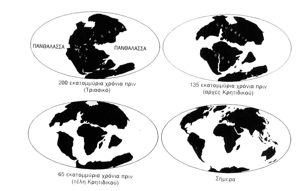 Μεσοζωικός αιώνας (248-65mya) Διαμόρφωση σύγχρονων