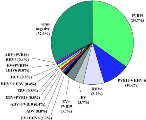 U Kühl et al, Circulation 2005, February 22 High Prevalence of Viral