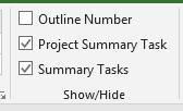 Το Project Summary Task, μια εργασία σύνοψης έργου που αποτελεί τον κύριο στόχο του σχεδίου του