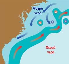 Οι ωκεάνιες λεκάνες γενικώς έχουν από επάνω τους ένα μη συμμετρικό επιφανειακό ρεύμα, του οποίου ο ανατολικός κλάδος (από ψυχρά νερά) που ρέει προς τον ισημερινό (στις