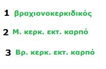 ΧΕΙΛΟΥΣ