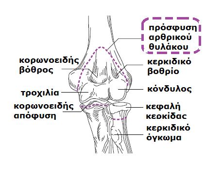 17 μυσ χιάηονται ςτον