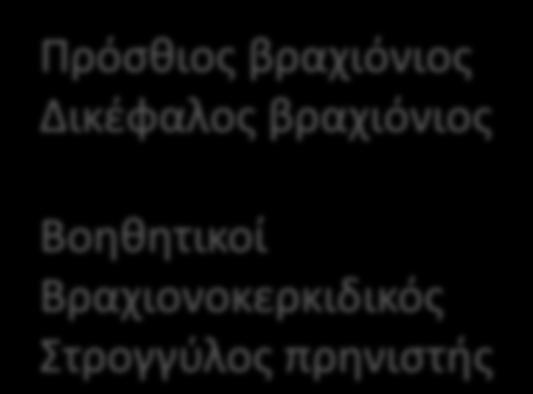 επθρεάηονται από τισ