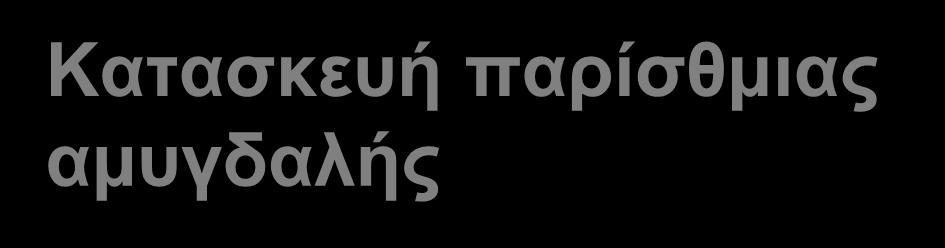 κρύπτη Τη λεμφαδενοειδή στιβάδα προς τα έξω και