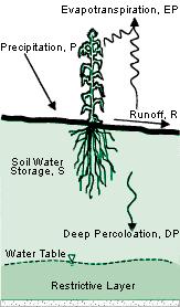 6.2. Voda u tlu Evapotranspiracija Oborine vlaga tla: iskazuje se kao: -mm vode -relativna vlažnost tla: m vode m suhog tla