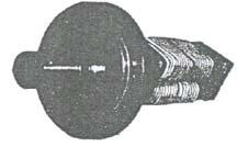 shumë).