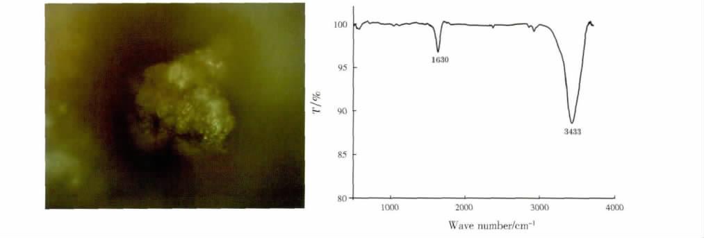 5 12% XRF 4 # 5 # 4 Fe 2 O 3 4 XRF Table 4 Results for XRF analysis of clay of Sample 4 # and 5 #