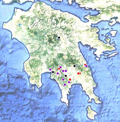 Εικ. 6: Χάρτης εξάπλωσης του Hymenonema laconicum.