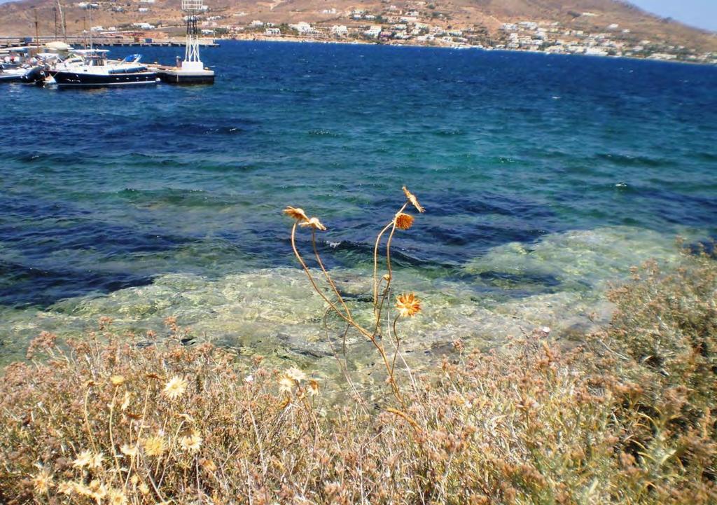 Τήνου, Γ, ταξιανθία από