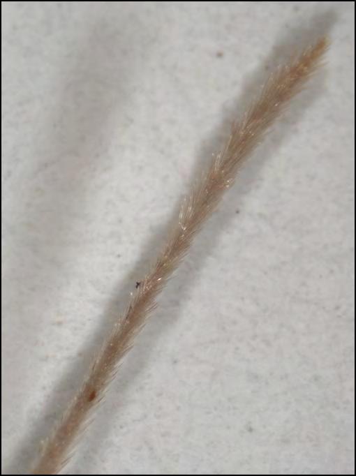 Κλίμακες = 1mm. 54